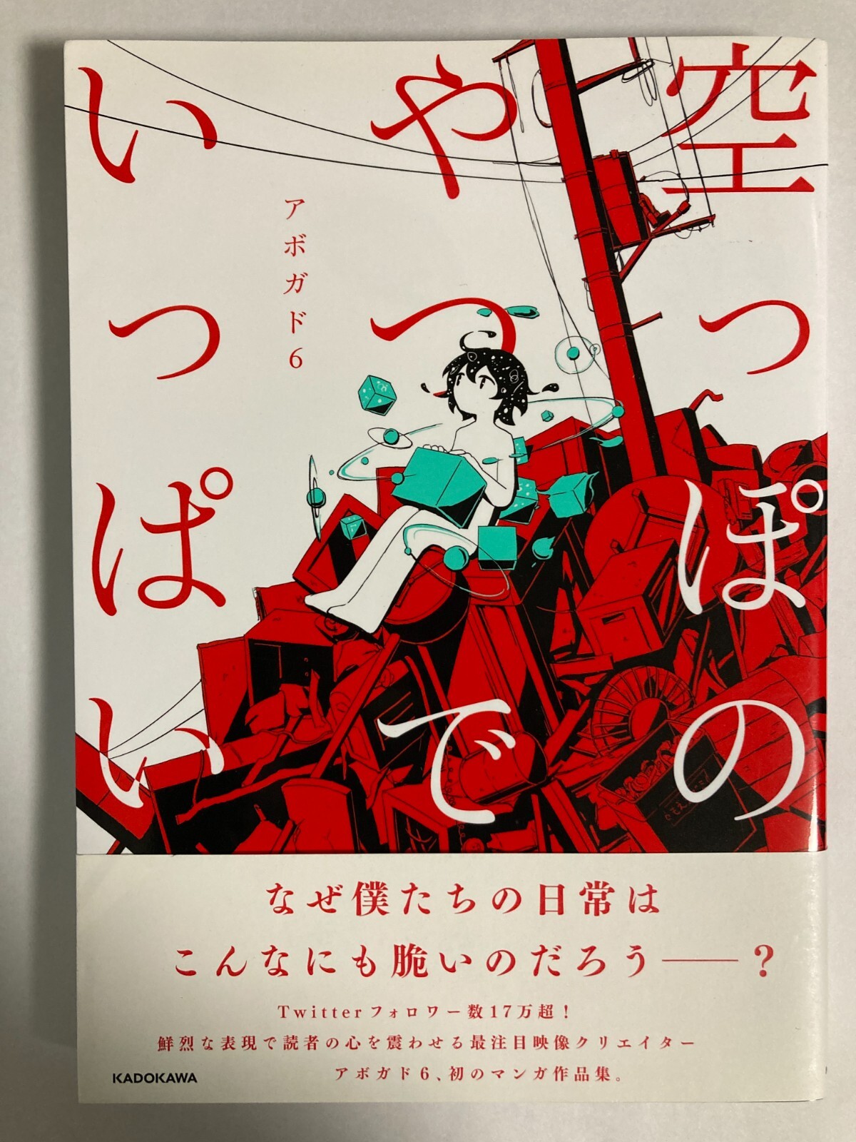 楽天ブックス: やっぱ！アホーガンよ（6） - 柴山みのる