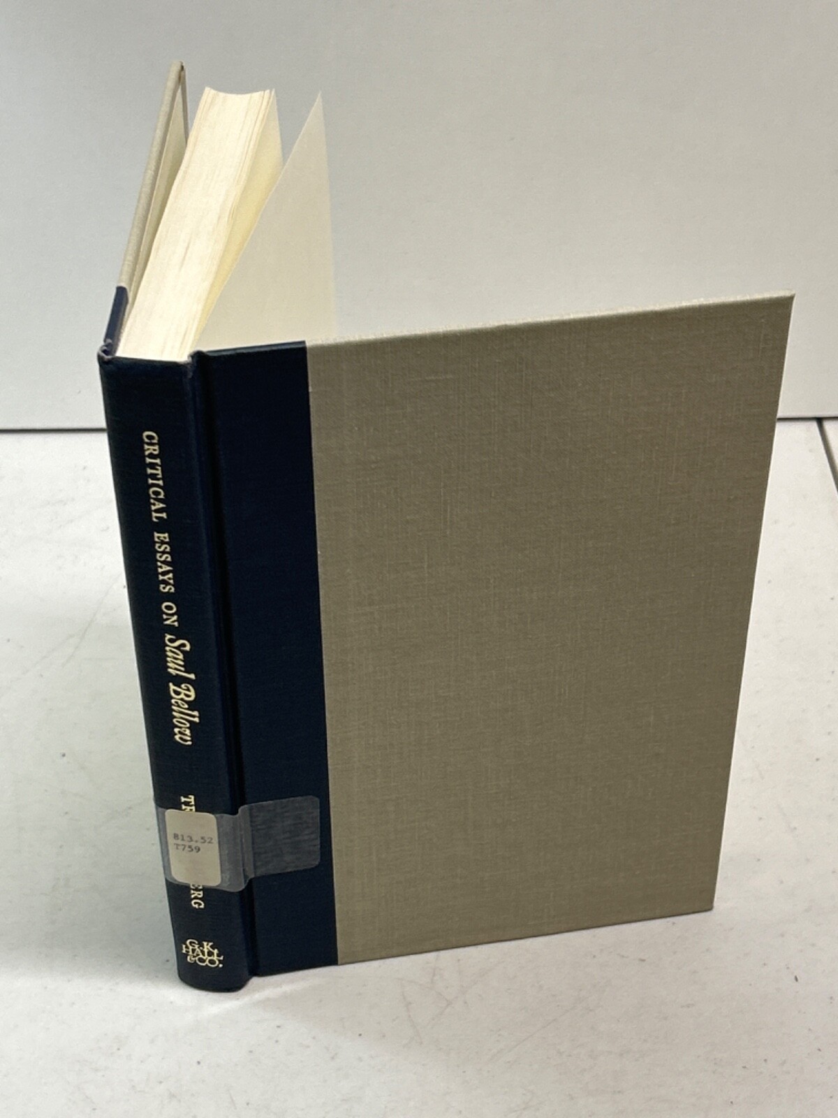 Critical Essays on Saul Bellow