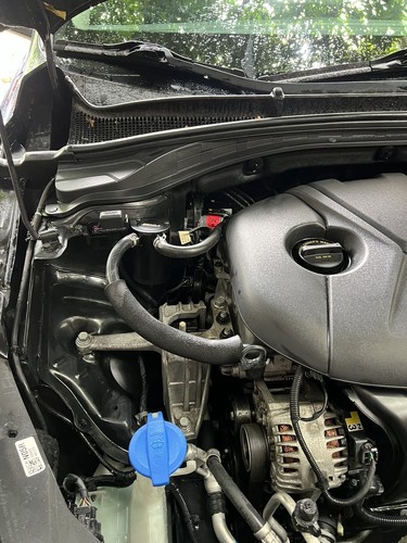 Fotos del artículo de un comprador verificado