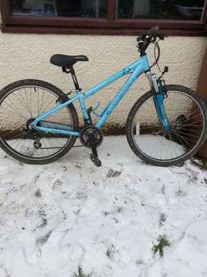 Girls mountain bike