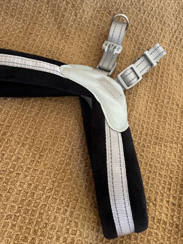 how to put on real simple dog harness