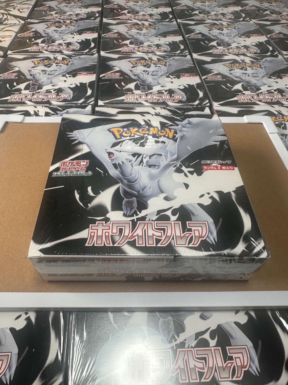 winged dragon of ra booster box SCARLET & VIOLET BLACK BOLT & WHITE FLARE BINDER COLLECTION main image 0