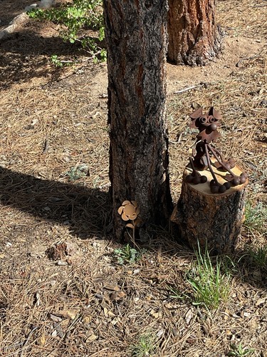 Photos de l'objet d'un acheteur vérifié