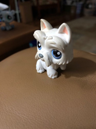 Littlest Pet Shop White Scottie Dog #24 Scottish Terrier LPS 100% Authentic