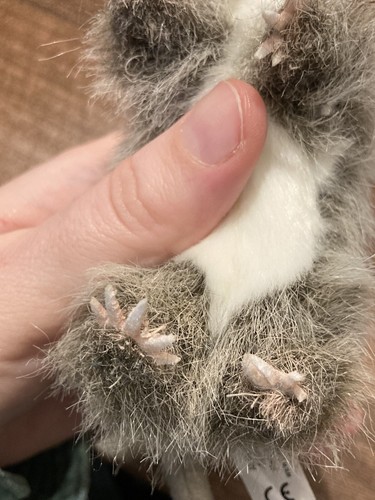 Artikelfoto(s) von einem verifizierten Käufer