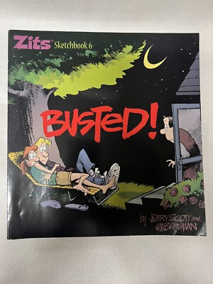 Busted: Zits Sketchbook #6