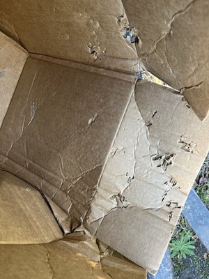 Item photo(s) from verified buyer