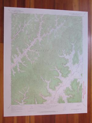Toh NE Zhonnie Spring Arizona 1971 Original Vintage USGS Topo Map