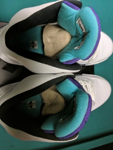 Michael Jordan Signed Air Jordan Grape 5's  sz 13 Upper Deck Authenticated! READ