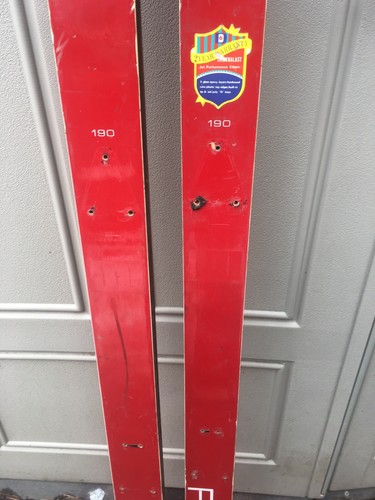 Daiwa 1000 Vintage Skis 190cm Interior Decoration