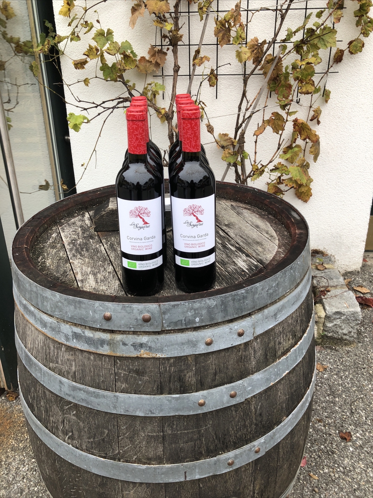 neu aus bekannter Quelle 6x0,75l Corvina Rotwein 2018 La Sogara 12,5% trocken