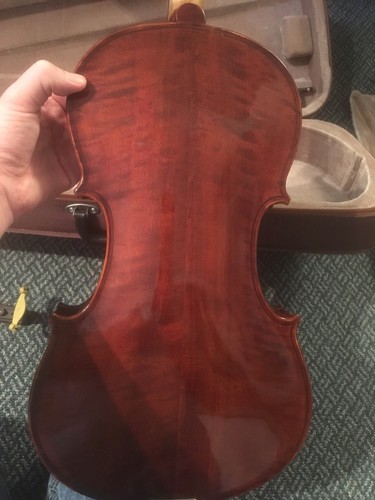 16.5 Inch Viola