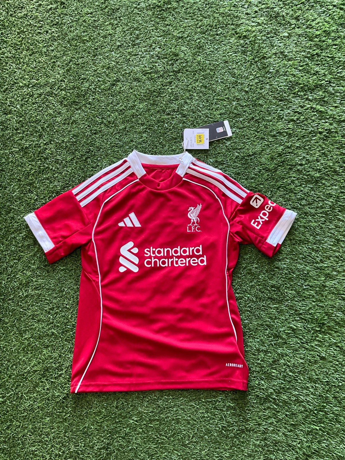 $_57.JPG?set_id=880000500F