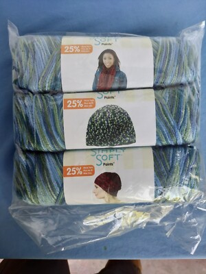  Caron Simply Soft Multicolor Acrylic Yarn,5oz-235yd,Spring Brook,3/Pkg