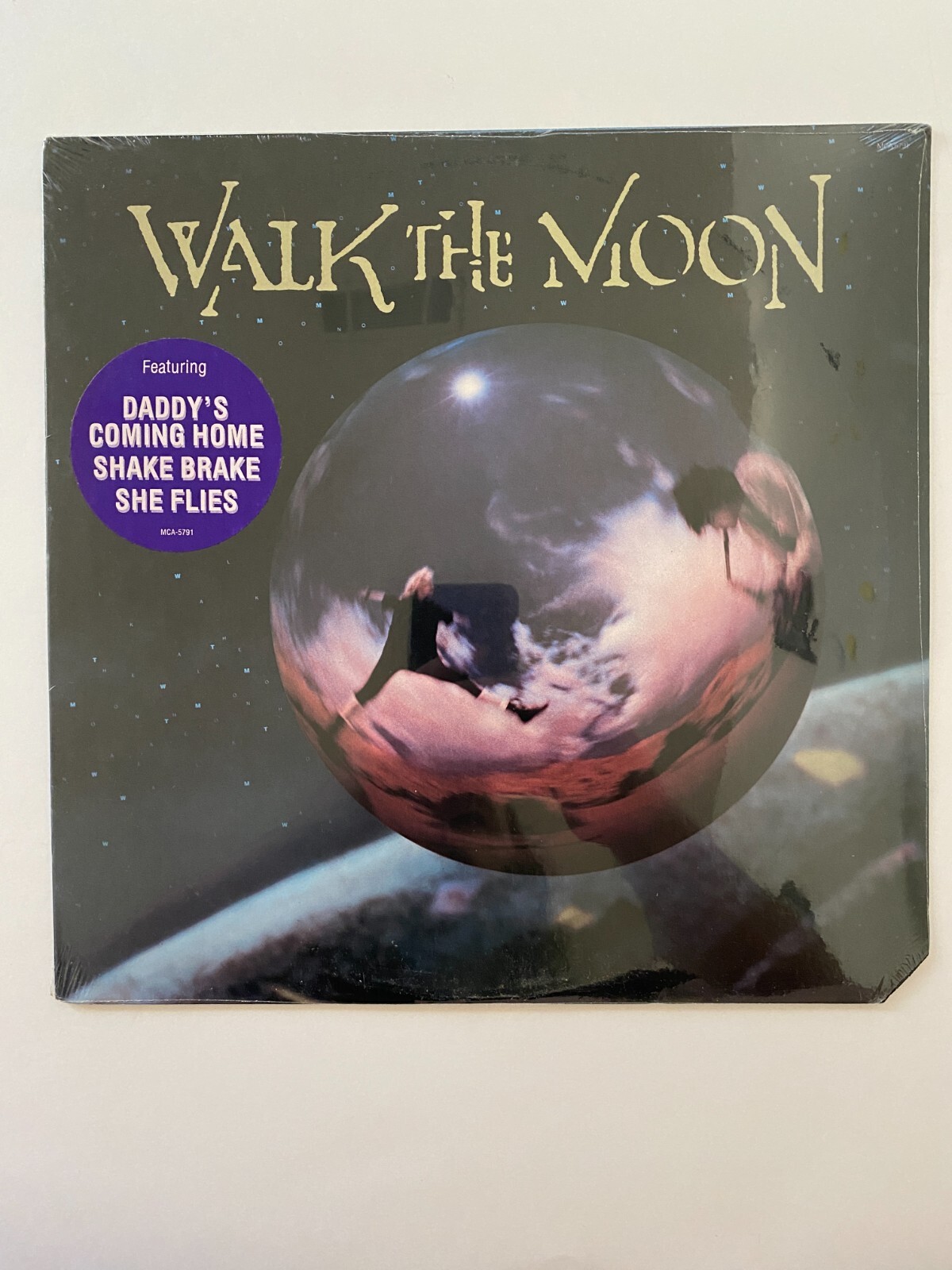 Walk The Moon レコード　LP オルタナティブ　ロック Walk The Moon – 