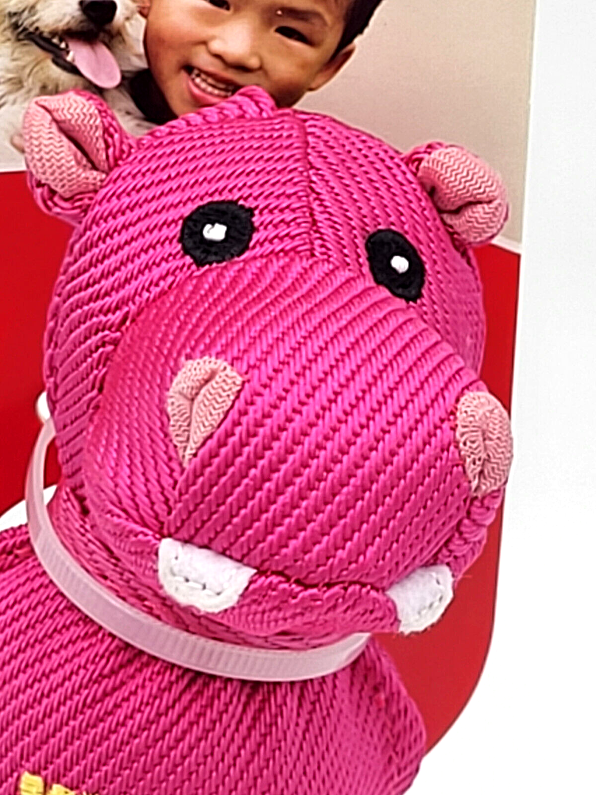 Kong Wubba Friends Ballistic Small Hippo Squeaky Dog Fetch Toy