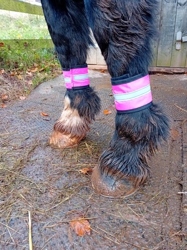 Foto dell'oggetto di un acquirente verificato