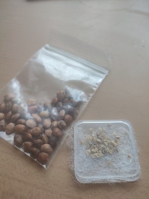 Foto dell'oggetto di un acquirente verificato