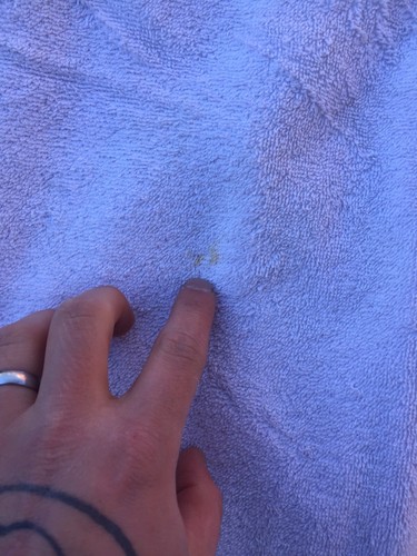 Vintage 90s Ralph Lauren Polo Bear Beach Towel