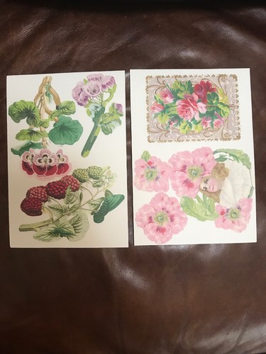 Anna Griffin Pocket Embellishment Diecuts(2 Pages Each Design For 34 Total Pages