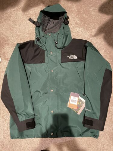 THE NORTH FACE 1990 MOUNTAIN JACKET GTX 2021-22FW KAWS The North Face Retro  1986 Mountain Jacket Green