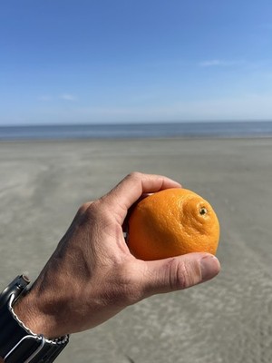 Objectfoto('s) van geverifieerde koper