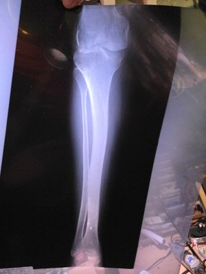 Fotos del artículo de un comprador verificado