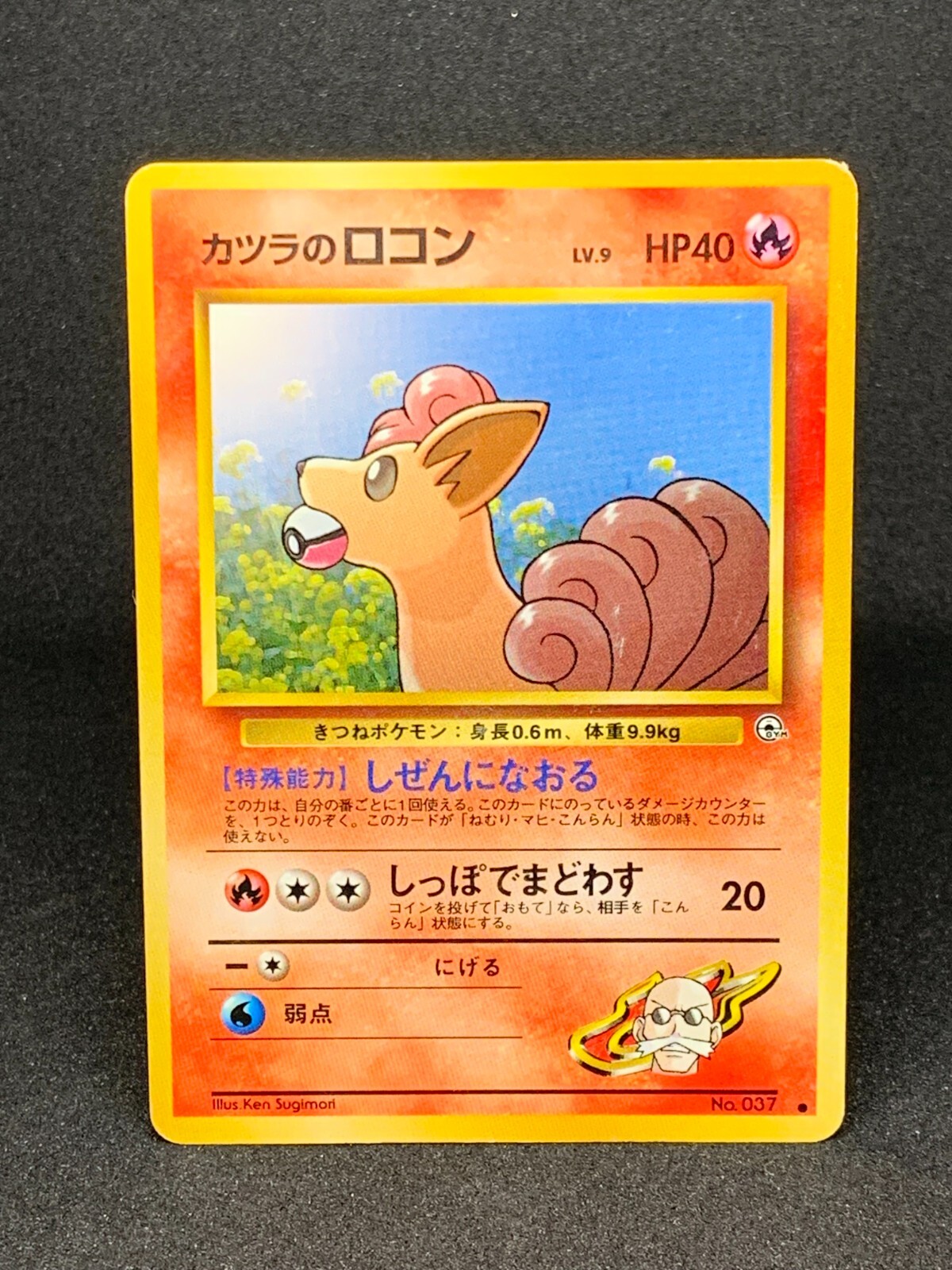 非売品　ポケモン　2007年頃の映画やパルシティなどで配布されたもの色々 非売品 ポケモン 2007年頃の映画やパルシティなどで配布された