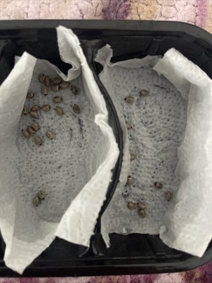 經驗證買家提供的物品圖片