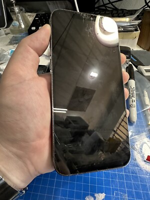 iPhone 12 12 Pro / Pro Max Glass Replacement Repair Service glass only