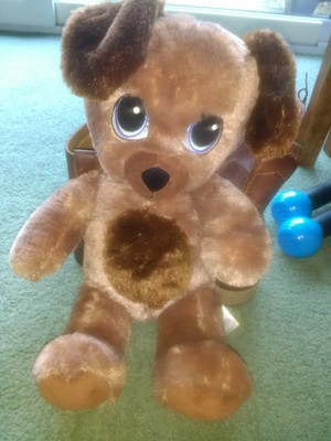 brown dog teddy
