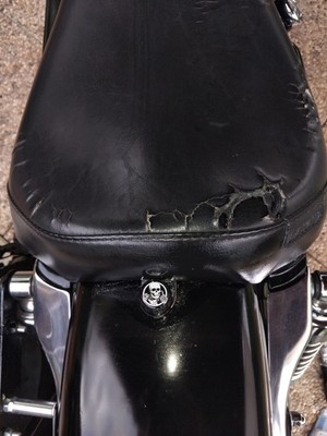 Item photo(s) from verified buyer