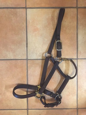 Outdoor Recreation Play It With Your Partner With B U T T A N A L P L U G T O Ys For Wo Men Beginners M E N G A Y Silicone In Fl At Able F O X T Ail S Ub Sweet Toys Sports Outdoors