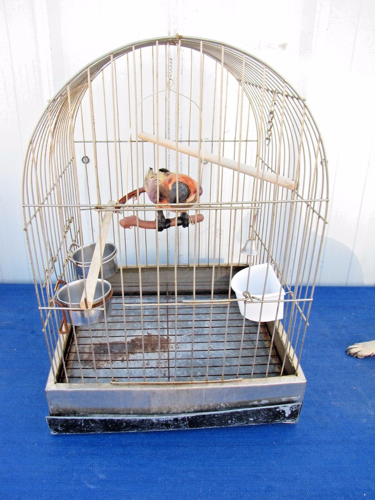 Vintage Metal Bird Cage Square Dome Top 17
