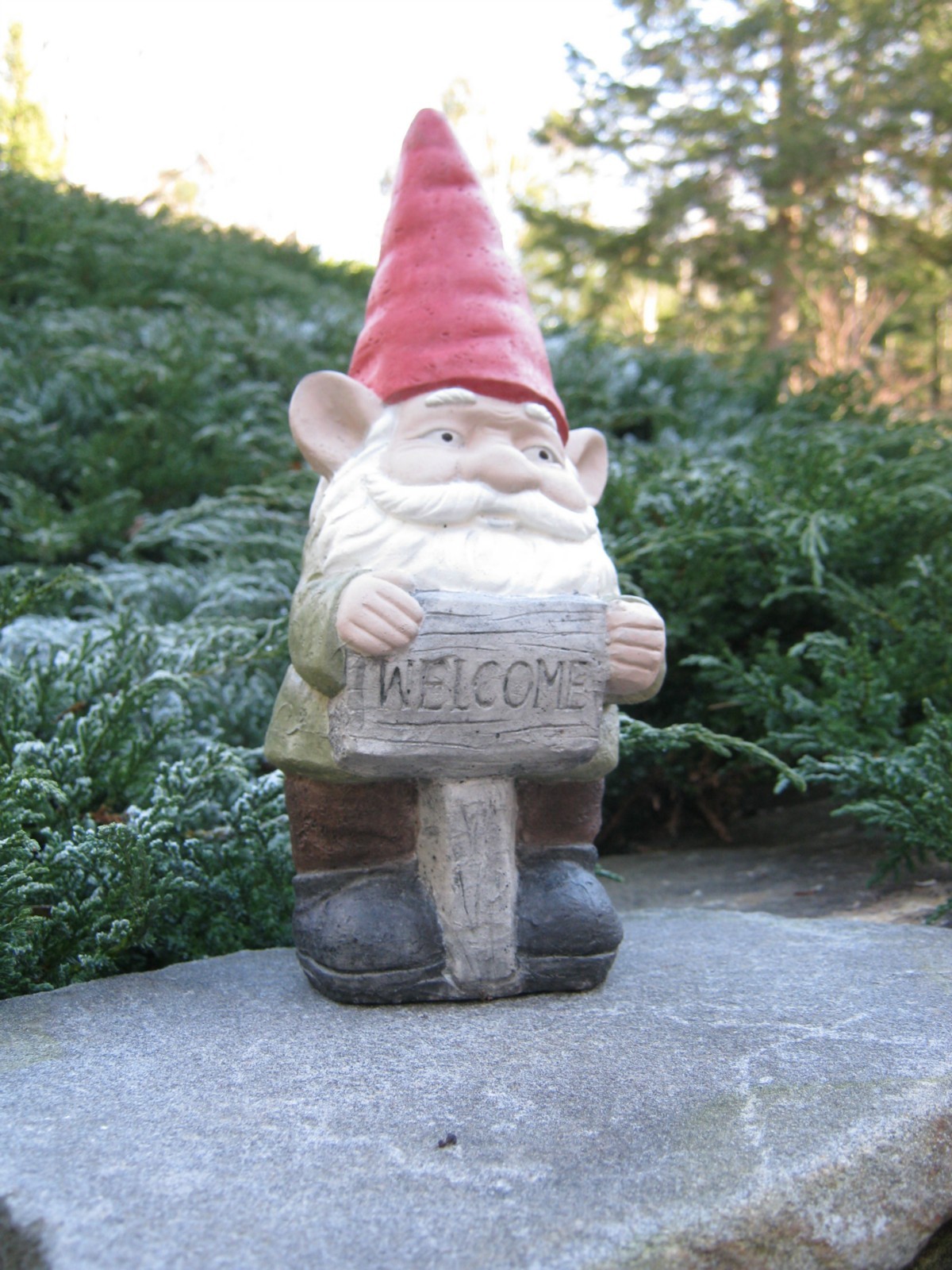 Welcome Garden Gnome 