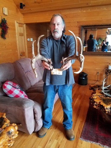 14 point whitetail deer antlers