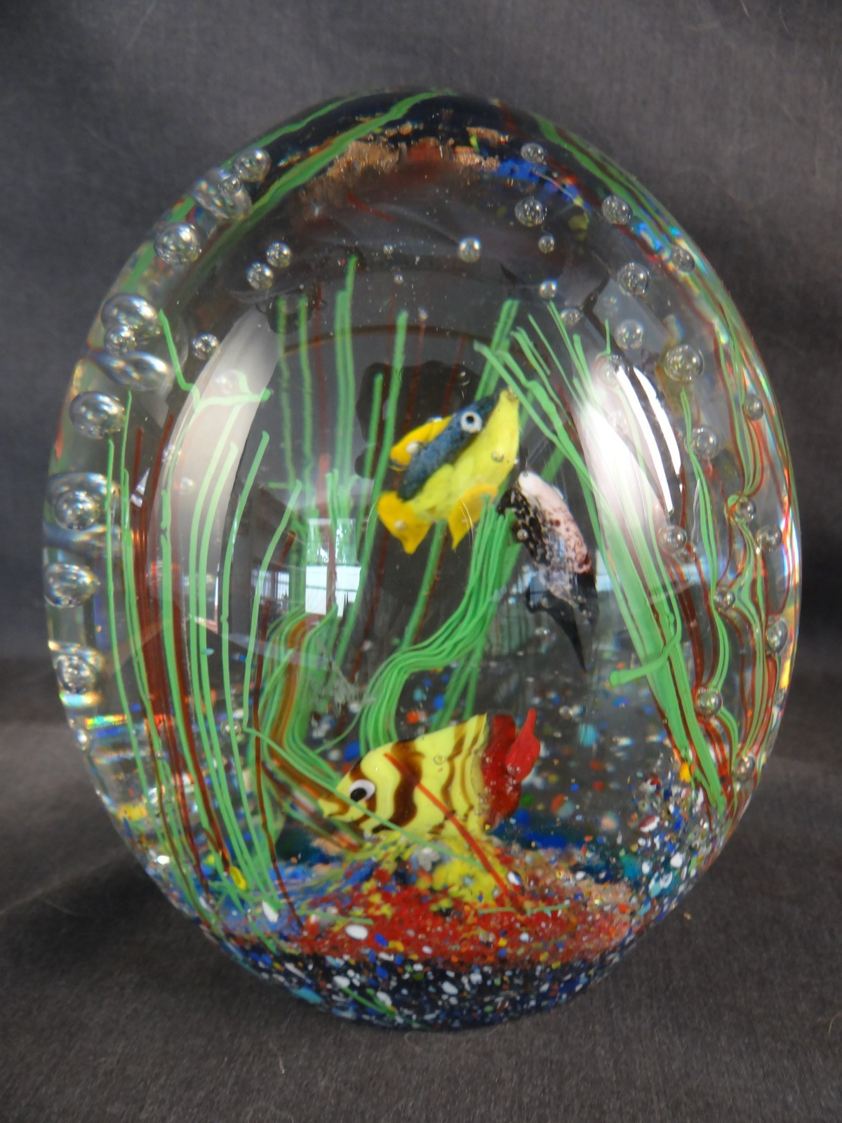 LG Beautiful MURANO EGG SHAPED 3 Fish Reef AQUARIUM Art Glass Paperweight