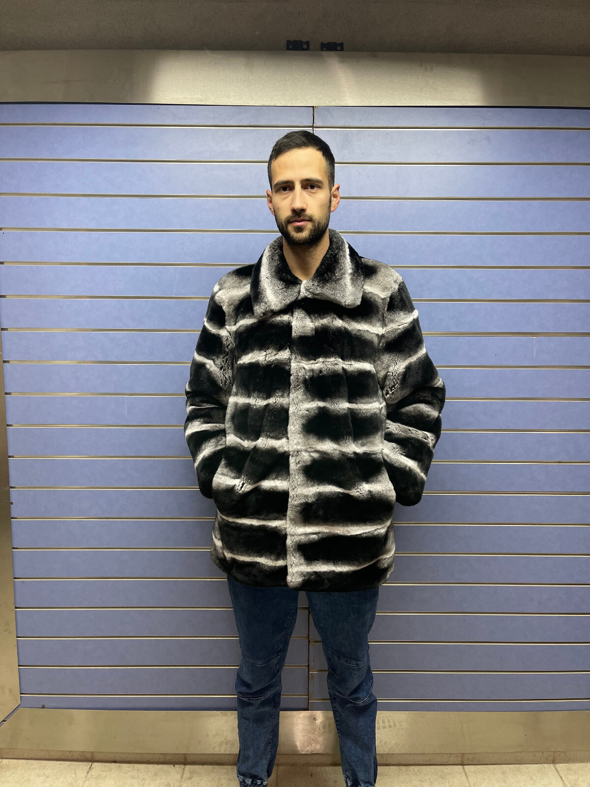 Pre-owned Fenzo Furs Luxury Rex Chinchilla Coat Real Rex Rabbit Fur Full Skin Coat With Collar In Multicolor