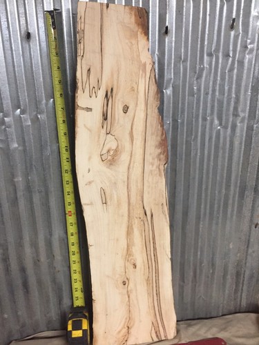 Spalted White Ash Kiln Dried Slab Live Edge Turning Blank Decorative Accent Wood