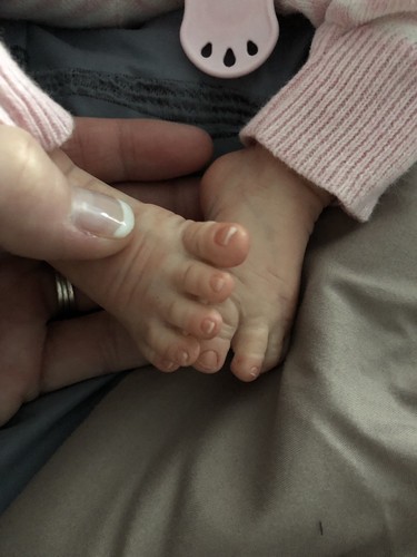 Rosa  Reborn Kit Baby by Karola Wegerich ~Sold Out Limited Edition!