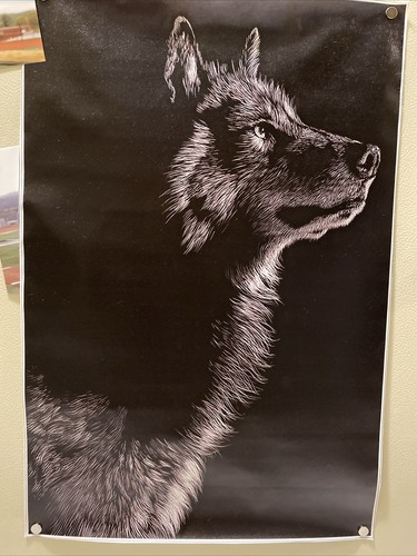 Fotos del artículo de un comprador verificado
