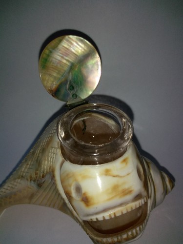 Vintage Carved Shell Fish Ink Well Glass Insert Abalone