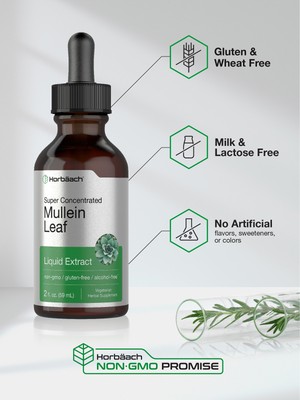 Mullein Leaf Liquid Extract | 2 fl oz | Alcohol Free, Vegetarian | by Horbaach
