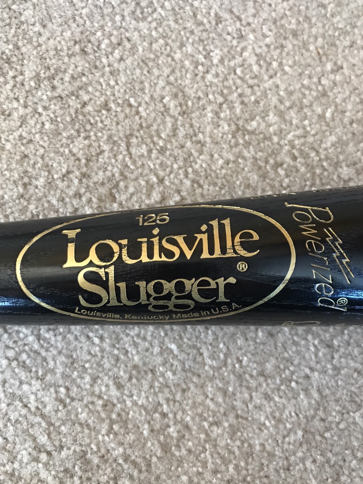 1987 MINNESOTA TWINS WORLD SERIES BLACK BAT PUCKET HRBEK BLYLEVEN CARLTON