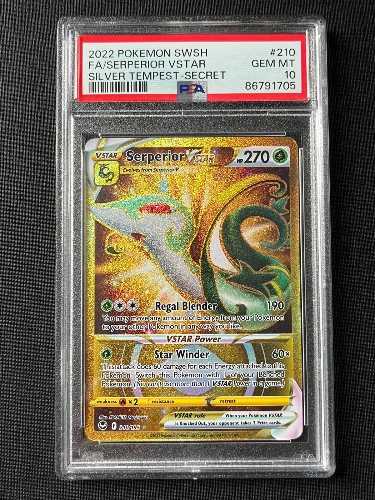 PSA 10 Gem Mint Serperior Vstar Silver Tempest 2022 Holo 210 PSA 10 Gem Mint Serperior Vstar Silver Tempest 2022 Holo 210