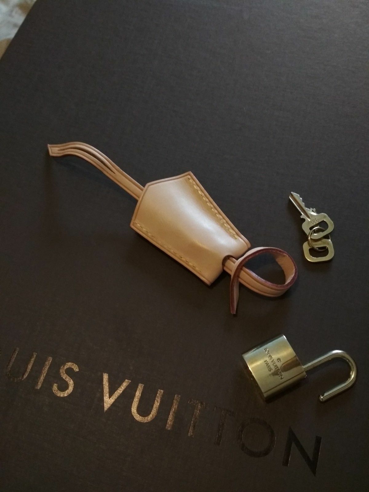 Authentic Louis Vuitton Monogram Alma PM Bag