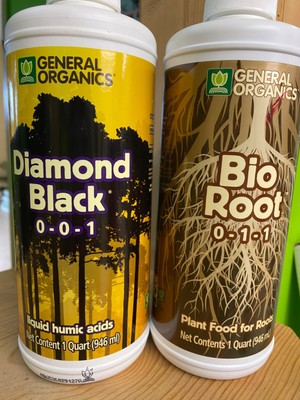 General Organics Diamond Black & Bio Root GO Two Pack of 32 ounce Quarts