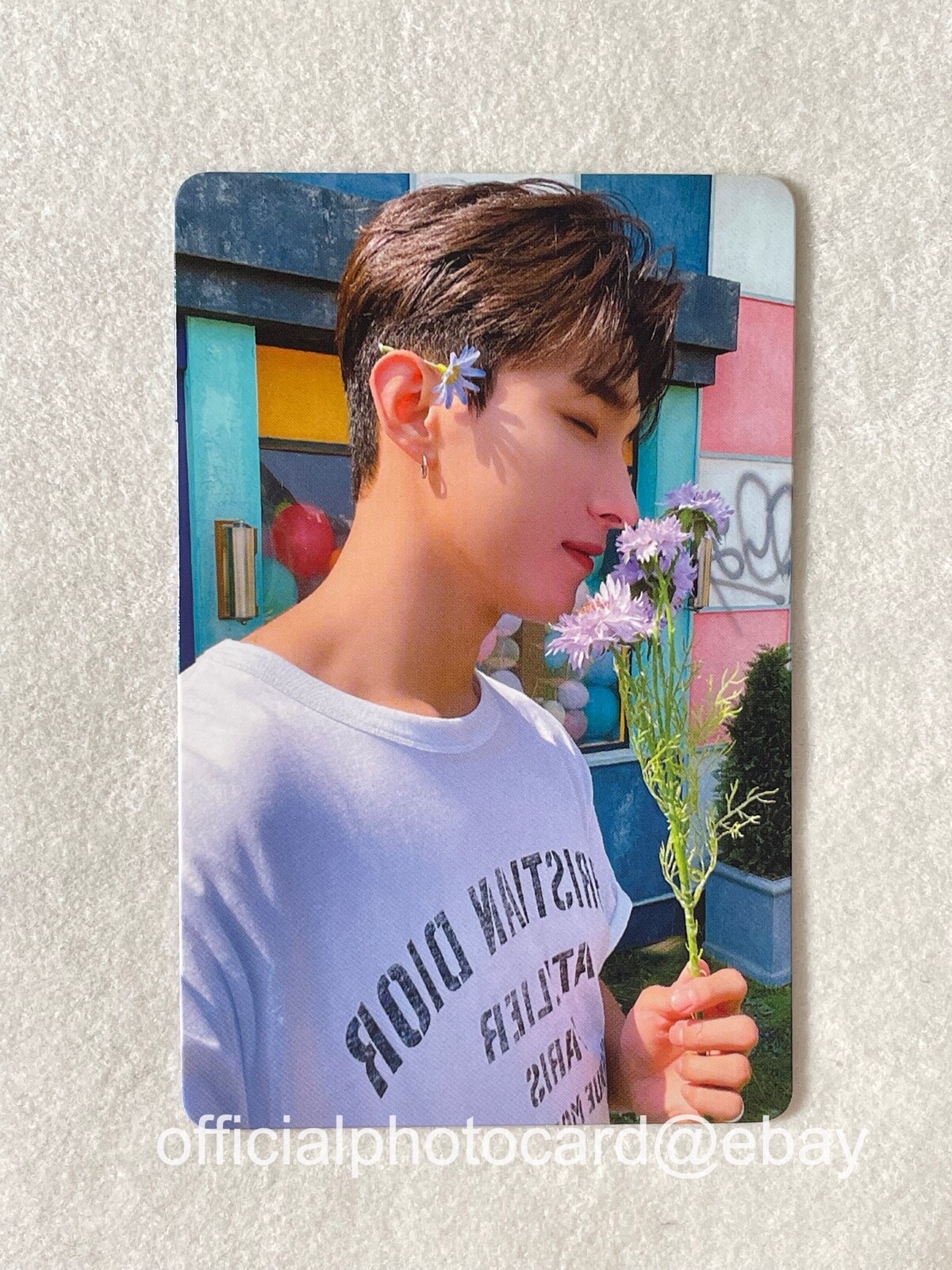 seventeen mini12中国一直娯yizhiyu C トレカ13枚セット セブチ