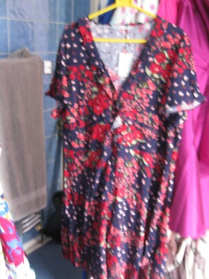 OASIS  FLORAL OFF SHOULDER  LINED DRESS SIZE 20 BNWOT
