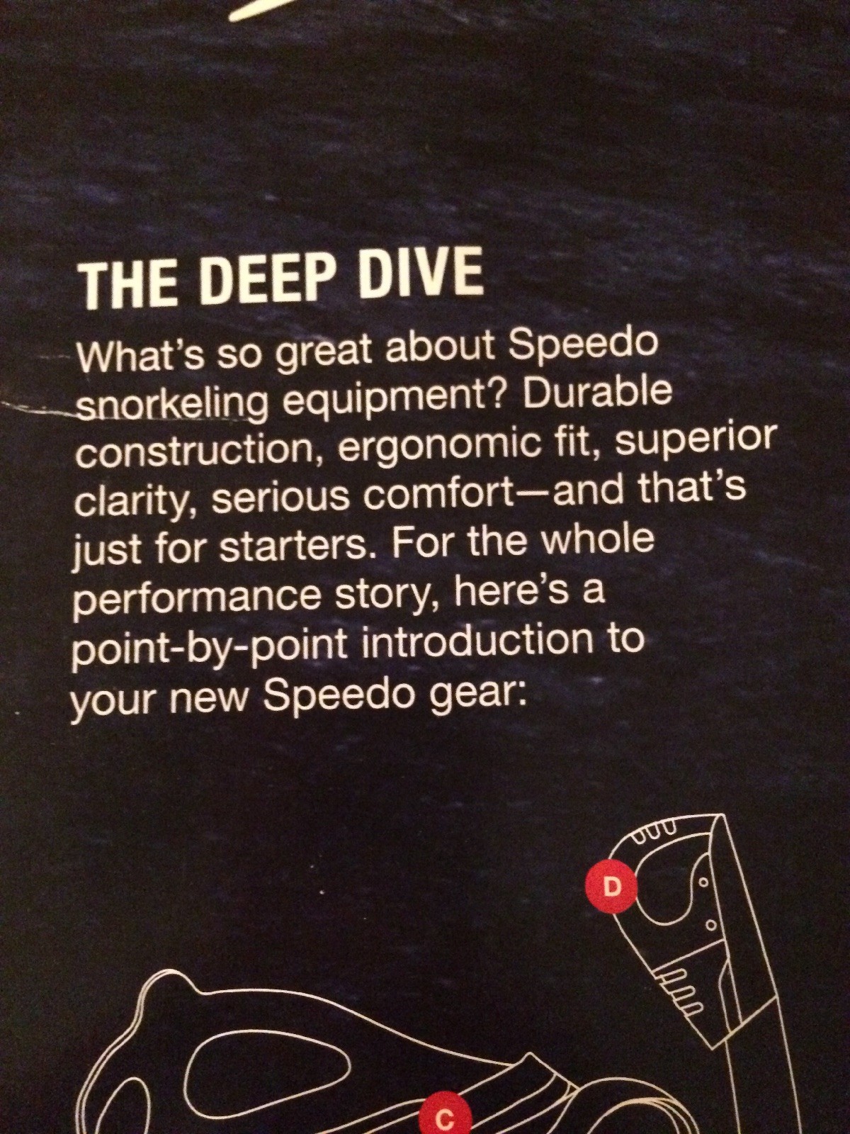 Speedo Dive Expedition Mask and Snorkel Pink Blue New NIP